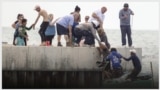 Key West Migrants Web Thumbnail