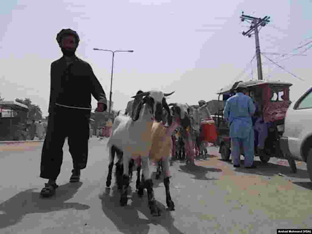 NWA IDPs during Food Distribution