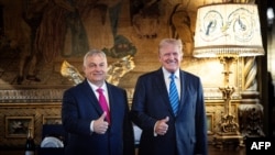 Eski ABD Başkanı ve Cumhuriyetçi Parti'nin 2024 başkan adayı Donald Trump Washington'daki NATO Zirvesi'ne katılan Macaristan Başbakanı Victor Orban'la Florida'daki konutu Mar-a-Lago'da görüştü, 11 Temmuz 2024.